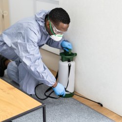 Anytime Pest Elimination
