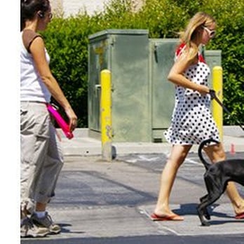 Karma Rescue - Pet Services Near Me - Santa Monica, California Karma Rescue - Pet Services Near Me - Santa Monica, California