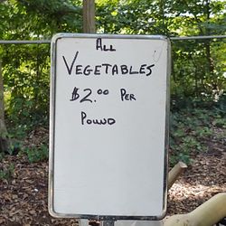 Hogg Greenhouse - Best Price around!!!