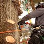 Photo of United Tree Service