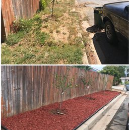 Before and after! Before and after!
