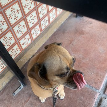 Memo's Bagel Cafe - Fiona sampling - Cafes Near Me - El Cajon, California
