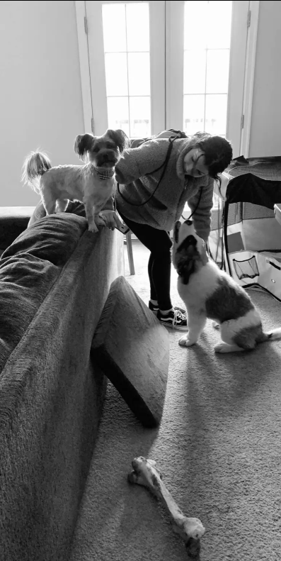 Gentle Hearts Pet Care - pet boarding facility in Baltimore, MD
