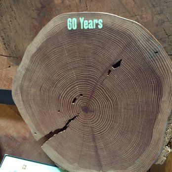 World Forestry Center - Museums Near Me - Portland, Oregon World Forestry Center - Museums Near Me - Portland, Oregon