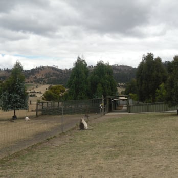 Zoodoo Wildlife Park - Zoos Near Me - Richmond, TAS