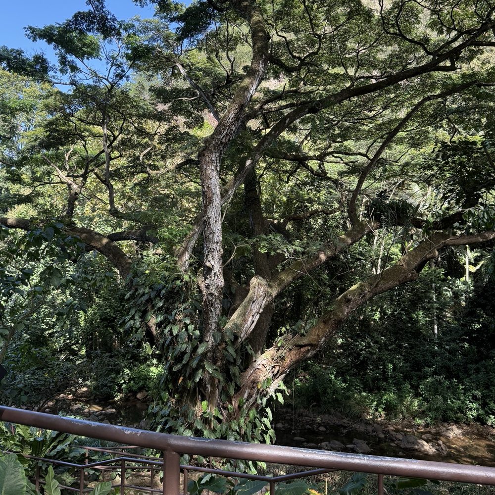 Go Tours Hawaii - Bus Tours Near Me - Honolulu, Hawaii Go Tours Hawaii - Bus Tours Near Me - Honolulu, Hawaii