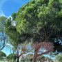 Photo of Praça Afonso de Albuquerque