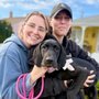 Dulce Vida Rescue
