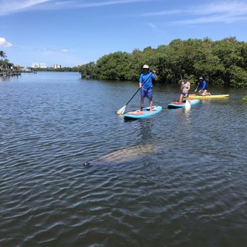 SeaLyon Paddle Adventures - Paddleboarding Near Me - Fort Myers, Florida SeaLyon Paddle Adventures - Paddleboarding Near Me - Fort Myers, Florida