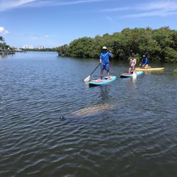 SeaLyon Paddle Adventures