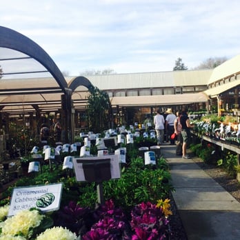 Berkeley Horticultural Nursery - Nurseries & Gardening Near Me - Berkeley, California