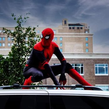 Vivid Emerald Photography - Cosplay Spiderman - Pet Photography Near Me - Rochester, New York Vivid Emerald Photography - Cosplay Spiderman - Pet Photography Near Me - Rochester, New York