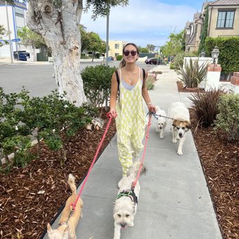 Isabelle’s Reliable Pet Care LLC - Walking with the pack featuring Little Max, Big Max, Shyla, and Snickers - Dog Walkers Near Me Isabelle’s Reliable Pet Care LLC - Walking with the pack featuring Little Max, Big Max, Shyla, and Snickers - Dog Walkers Near Me