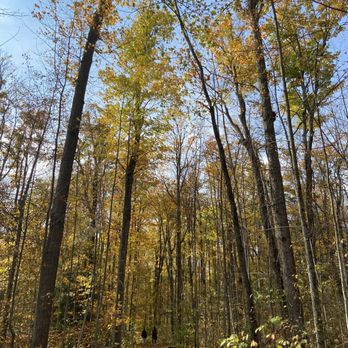 Mark Burnham Park - fall leaves oct 11 2021 - Parks Near Me - Peterborough, Ontario Mark Burnham Park - fall leaves oct 11 2021 - Parks Near Me - Peterborough, Ontario