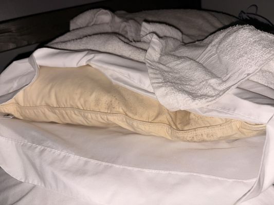 My Hawai‘i Hostel by null