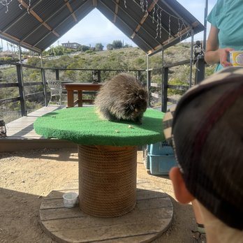 Wild Wonders - Zoos Near Me - Bonsall, California Wild Wonders - Zoos Near Me - Bonsall, California