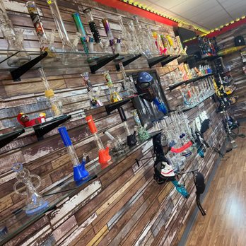 rabbit tobacco plant blunt-leaved rabbit-tobacco