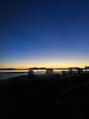 Chuckanut Manor Seafood & Grill by null