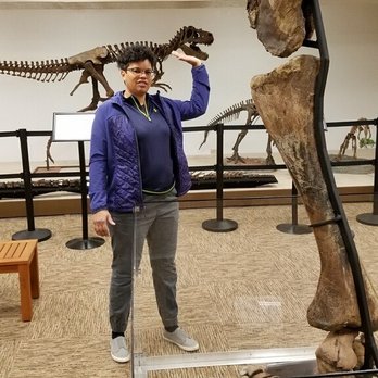 Dinosaur Science Museum and Research Center - Children's Museums Near Me - Keene, Texas Dinosaur Science Museum and Research Center - Children's Museums Near Me - Keene, Texas