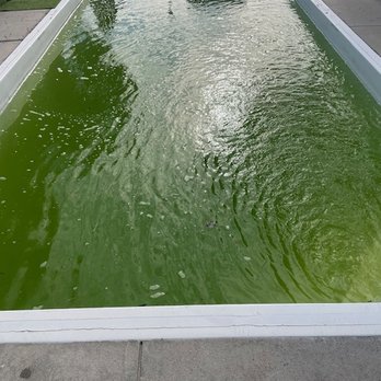Tillman Pool Services - When we arrived... - Pool Cleaners Near Me