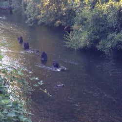 Pringle Park