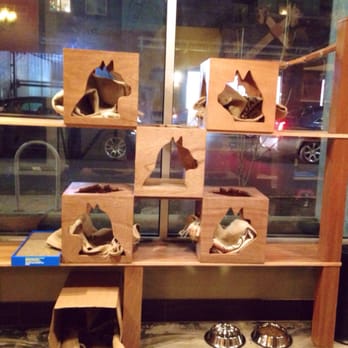 Seattle Meowtropolitan - Themed Cafes Near Me - Seattle, Washington Seattle Meowtropolitan - Themed Cafes Near Me - Seattle, Washington
