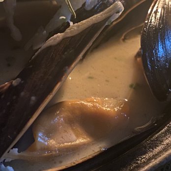 Poulet Bleu - Mussels - French Near Me - Pittsburgh, Pennsylvania Poulet Bleu - Mussels - French Near Me - Pittsburgh, Pennsylvania