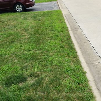 Eternally Green Lawn Care - Just more crabgrass. - Landscaping Near Me - Frankfort, Illinois Eternally Green Lawn Care - Just more crabgrass. - Landscaping Near Me - Frankfort, Illinois