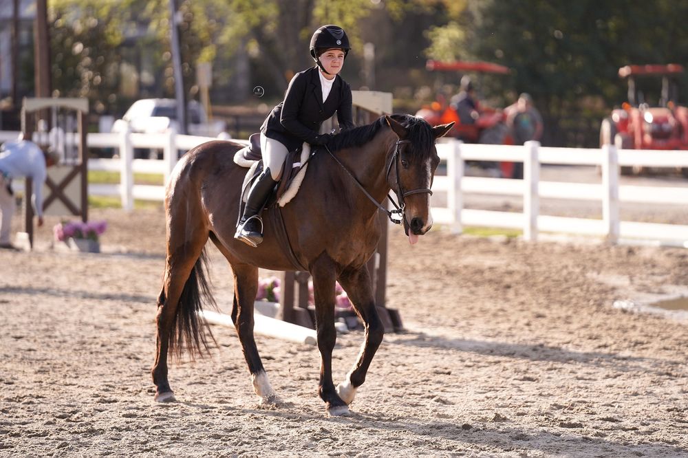 EDGEWATER EQUESTRIAN Request Information 16 Photos 6790 Kenimer