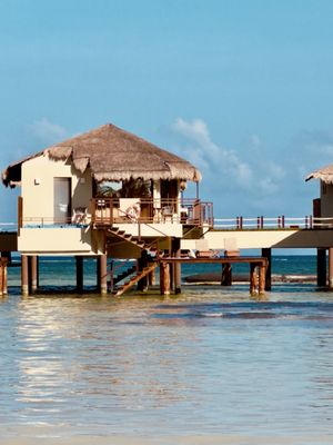 El Dorado Maroma by null