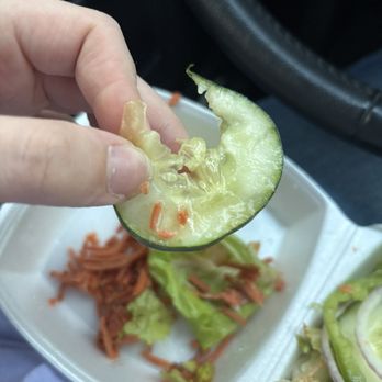 Ray's Pizza - Not only was this inedible it was moldy and completely soggy. - Pizza Near Me - Chesapeake, Virginia