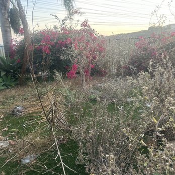 David Bahena Yard, Tree, and Home Services - Before David... - Landscaping Near Me David Bahena Yard, Tree, and Home Services - Before David... - Landscaping Near Me
