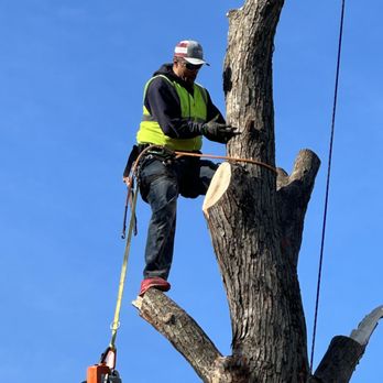 Nick & Tee Tee Tree Service - Tree Services Near Me Nick & Tee Tee Tree Service - Tree Services Near Me
