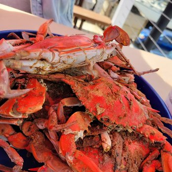 Mikes Crab House North - Seafood Near Me - Pasadena, Maryland Mikes Crab House North - Seafood Near Me - Pasadena, Maryland