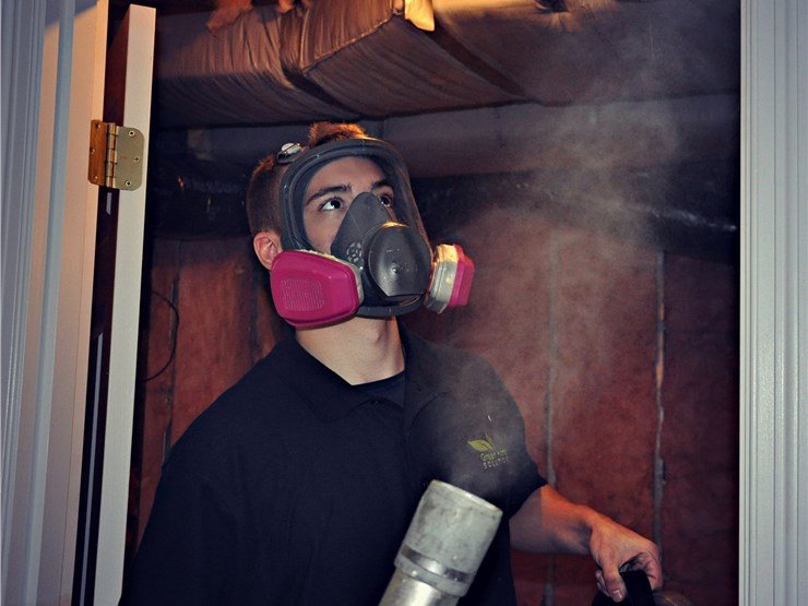 Green Home Solutions - mold inspector in Fredericksburg, VA