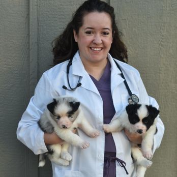 CodaPet - College Station - Veterinarians Near Me