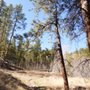 Photo of Lower Dadd Gulch