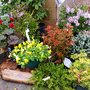 Photo of Kennedy Landscape Services