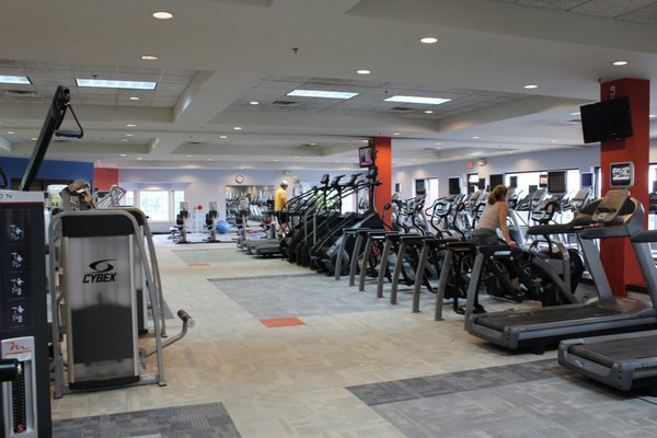 Five Seasons by null