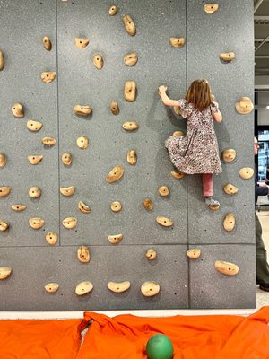 The Lane Ivy City by null