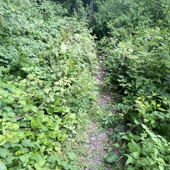 Grandview Park - Narrow trail - Parks Near Me - Pittsburgh, Pennsylvania Grandview Park - Narrow trail - Parks Near Me - Pittsburgh, Pennsylvania