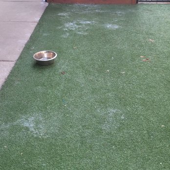 PPM Apartments - Dog park - Property Management Near Me - Chicago, Illinois PPM Apartments - Dog park - Property Management Near Me - Chicago, Illinois