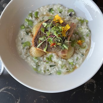 Beach Road - Artic Char: gava bean tarragon risotto, roasted cipollini, herb salad and smoked honey - Seafood Near Me - Vineyard Haven, Massachusetts