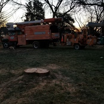 J C Tree Service - Tree Services Near Me - Allentown, Pennsylvania J C Tree Service - Tree Services Near Me - Allentown, Pennsylvania