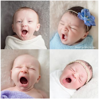 Willow Baby Studios - four newborns yawning cutely - Session Photography Near Me - Arlington, Massachusetts Willow Baby Studios - four newborns yawning cutely - Session Photography Near Me - Arlington, Massachusetts