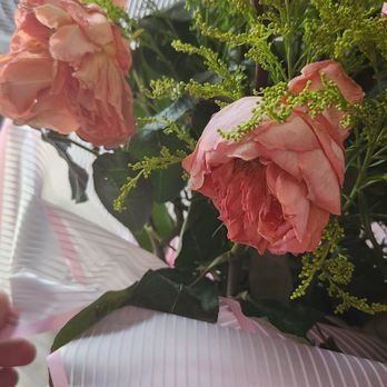 Alexander Flower - Florists Near Me - Los Angeles, California Alexander Flower - Florists Near Me - Los Angeles, California