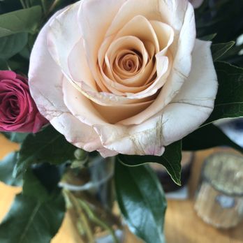 UrbanStems - Bruised - Florists Near Me