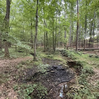 David Crockett State Park - bike trail - Hiking Near Me - Lawrenceburg, Tennessee David Crockett State Park - bike trail - Hiking Near Me - Lawrenceburg, Tennessee