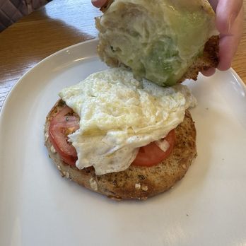 Panera Bread - Garden Avo & Egg White Sandwich - Sandwiches Near Me - Decatur, Alabama Panera Bread - Garden Avo & Egg White Sandwich - Sandwiches Near Me - Decatur, Alabama