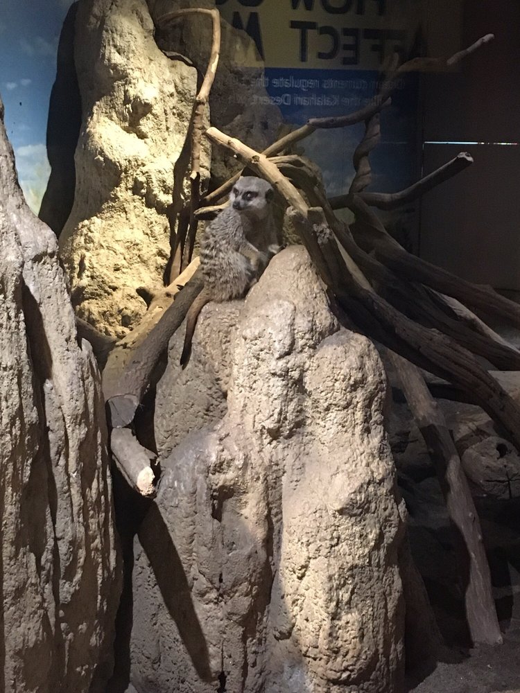 THE MARITIME AQUARIUM 503 Photos & 199 Reviews Aquariums 10 N